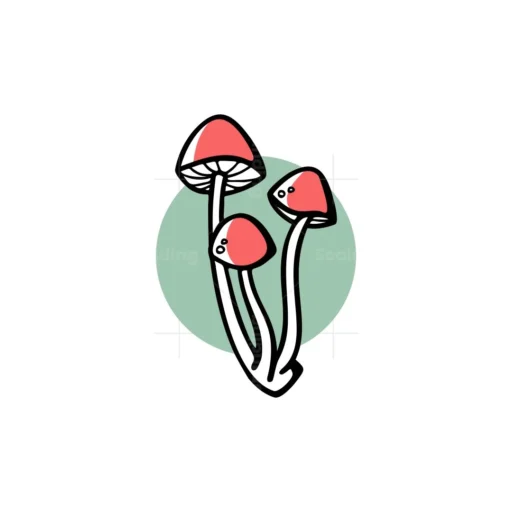 Buy magic mushroom online Germany