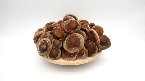 Buy Buy Shiitake Mushrooms Germany